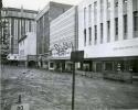 1955 Flood